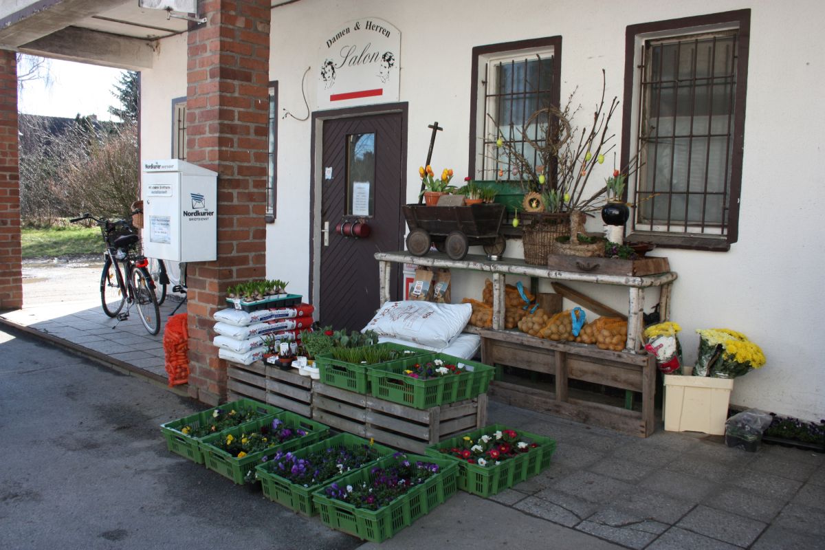 Vor dem Ladeneingang in Dersekow werden zur Pflanzsaison Blumen angeboten.