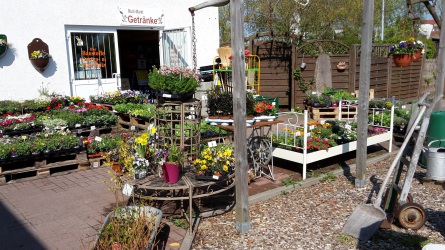 Reichhaltige Angebot an Pflanzen vor dem Eingang zum Multi-Markt Karlsburg.